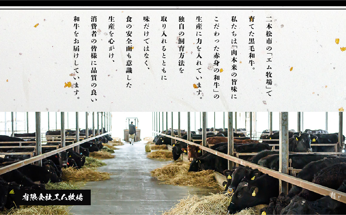 黒毛和牛 サーロイン ステーキ 2枚 計約 300g 福島県二本松市産 黒毛 和牛 厳選 肉 牛肉 牛 国産牛 国産 赤身 脂身 旨味 真空パック 急速冷凍 小分け エム牧場 人気 おすすめ ふるさと