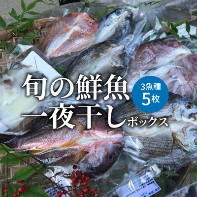 ふるさと納税 天草市 旬の鮮魚一夜干しボックス 3種5枚セット 干物_S059-007A