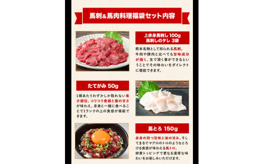 純国産馬刺し＆馬肉料理福袋 計1kg 《90日以内に出荷予定(土日祝除く)》 熊本肥育 2年連続農林水産大臣賞受賞---hkw_fba5syu_90d_22_14000_1kg---