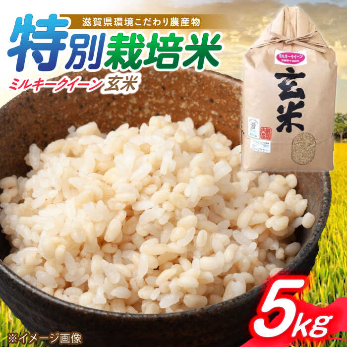 【ふるさと納税】【令和7年産】滋賀県 低農薬栽培 ミルキークイーン 玄米 5kg 滋賀県長浜市/有限会社もりかわ農場 [AQBL022] ミルキークイーン 米 お米 玄米 5kg ブランド米 人気 おすすめ