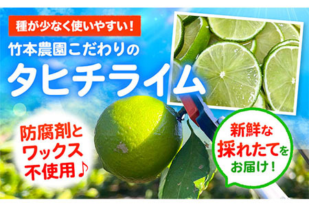 国産ライム 約1.5kg ライム
