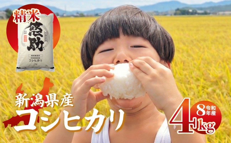 
                  先行予約 令和8年産 コシヒカリ 4kg 特別栽培米 単品 コンテスト 入賞 【 コンテスト 入賞米 米 おこめ お米 ブランド米 ご飯 ごはん オニギリ お弁当 kome 送料無料 数量限定 農家直送 産地直送 国産 川瀬農園 四代目 悠助 新潟 新発田 kwsKH001_202609  】　
                