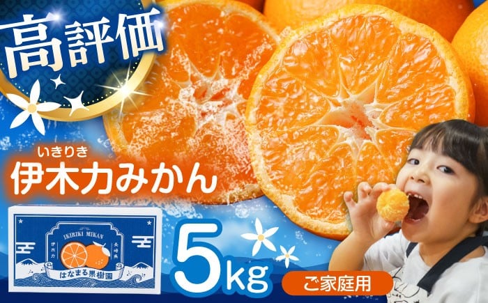 
            伊木力みかん (家庭用) 5kg / みかん ミカン 蜜柑 オレンジ フルーツ ふるーつ 果物 くだもの いきりき / 諫早市 / 山野果樹園 [AHCF002] 10000 1万円
          