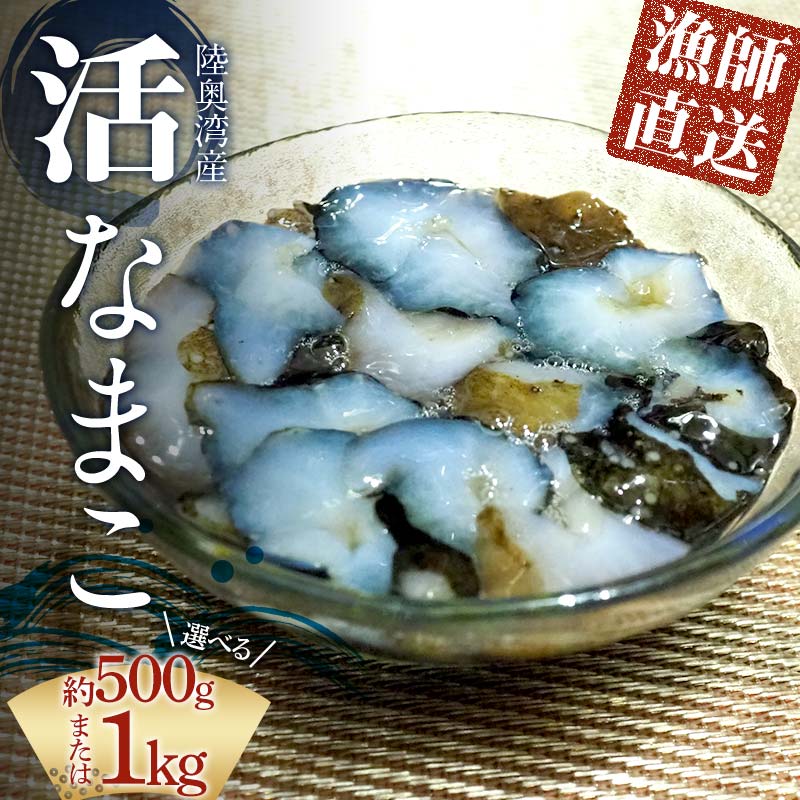 【ふるさと納税】＼選べる容量／活なまこ 約500g ・1kg ※生食可 【琉宝丸】 漁師直送 なまこ ナマコ 海鼠 魚介 青森 青森県 東北 陸奥湾 むつ湾 F21J-241var
