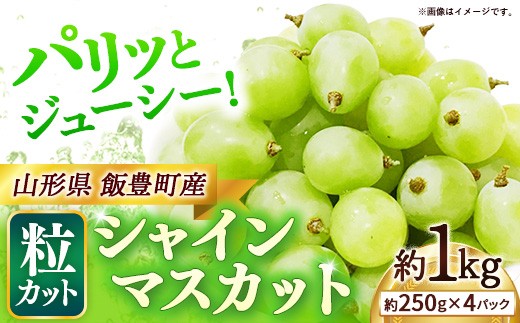 シャインマスカット 粒カット  バラ  約1kg   (飯豊町産)   - マスカット  2026 山形 2026年発送 パック入り  4パック  果物 フルーツ 山形県 飯豊町 田園サービスいいで