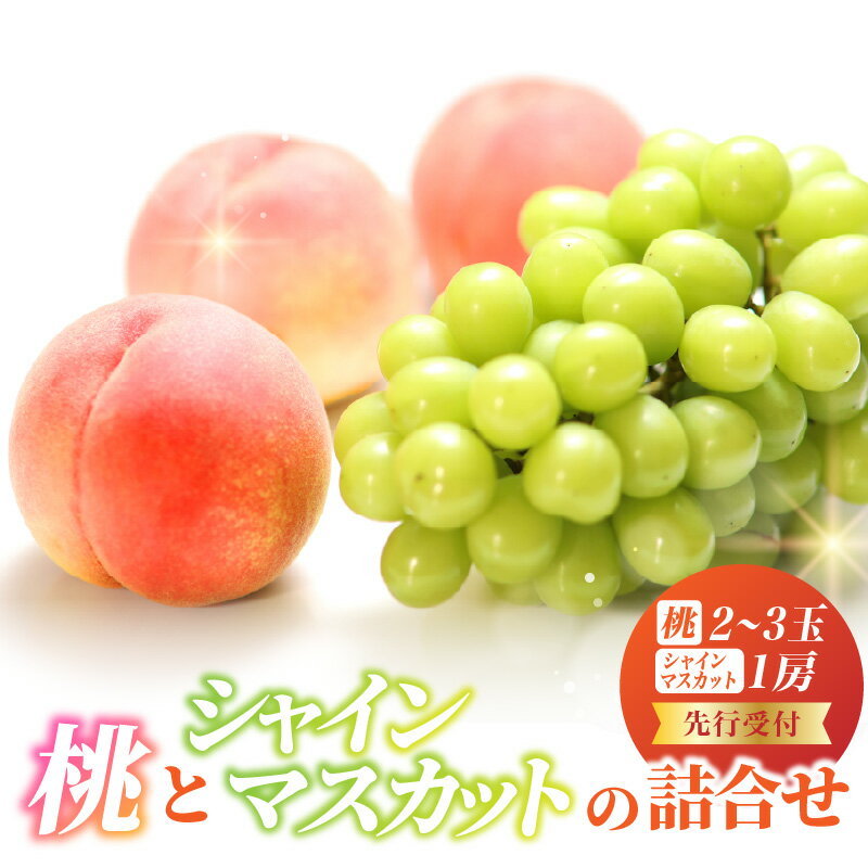 【ふるさと納税】《先行受付》桃とシャインマスカットの詰合せ【2026年9月頃より順次発送予定】 ふるさと納税 山形県 大江町 白桃 シャインマスカット 桃 もも ブドウ ぶどう 食べ比べ フルーツ デザート