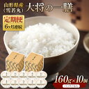 【ふるさと納税】 【定期便】山形県産 大将の一膳（雪若丸）10個×6回 米 パックライス パックごはん お米 白米 保存食 備蓄 常温 レンジ 簡単 FYN9-889