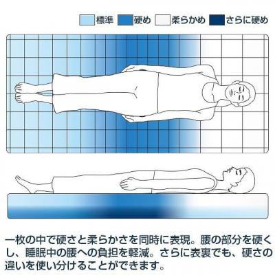 ふるさと納税 大府市 【大府市産新米5合付き】エアウィーヴ 四季布団 和匠・二重奏  セミダブル |  | 03
