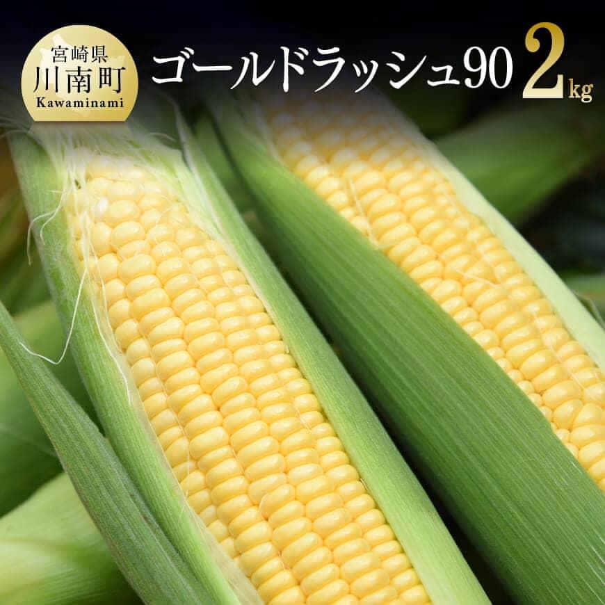 【ふるさと納税】※レビューキャンペーン※ 【令和7年発送】政岡さんちのスイートコーン『ゴールドラッシュ90』2kg - 先行予約 数量限定 期間限定 2025年発送 とうもろこし スイートコーン 朝どれ 農家直送 九州産 宮崎県産 川南町産 送料無料 D06501
