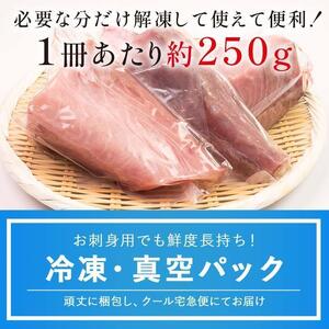 【2025年1月発送】北海道 知床羅臼産 天然ぶり刺身 2kg (250g×8パック) 魚 海産物 魚介 魚介類 ブリ 鰤 刺身 ご飯のお供 冷凍 生産者 支援 応援