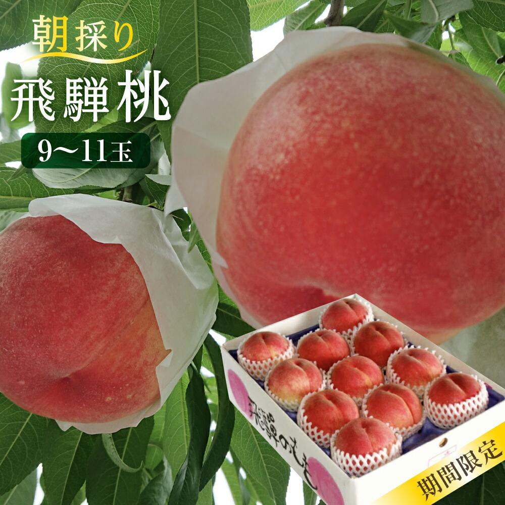 【ふるさと納税】【数量限定/先行予約】飛騨桃 約2.7kg（9～11個）| 7月下旬～順次発送 桃 もも フルーツ 果物 旬 朝採れ 産地直送 白桃 品種お任せ 飛騨高山 山本果樹園 MA013