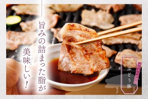 綾ぶどう豚焼肉バーベキュー食べ比べセット