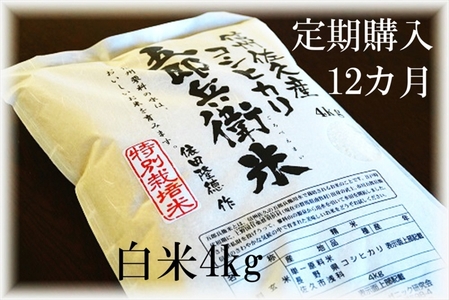 【令和7年産・白米4kg×12カ月定期便】特別栽培米 五郎兵衛米 〈2025年9月中旬頃～順次発送〉先行予約 新米 信州こしひかり コシヒカリ こしひかり 長野県 佐久市
