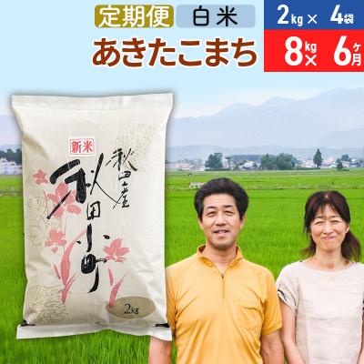 ふるさと納税 美郷町 《定期便6ヶ月》令和7年産 あきたこまち特別栽培米8kg×6回【白米】|01_tfs-110806