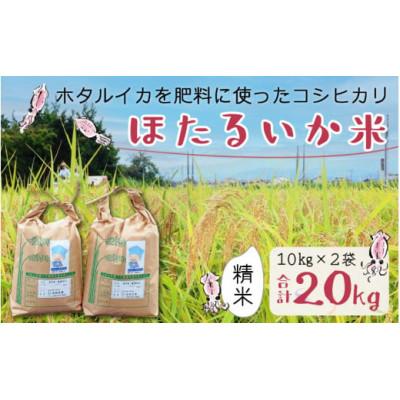ふるさと納税 滑川市 【ほたるいか米】精米　20kg(10kg×2袋)