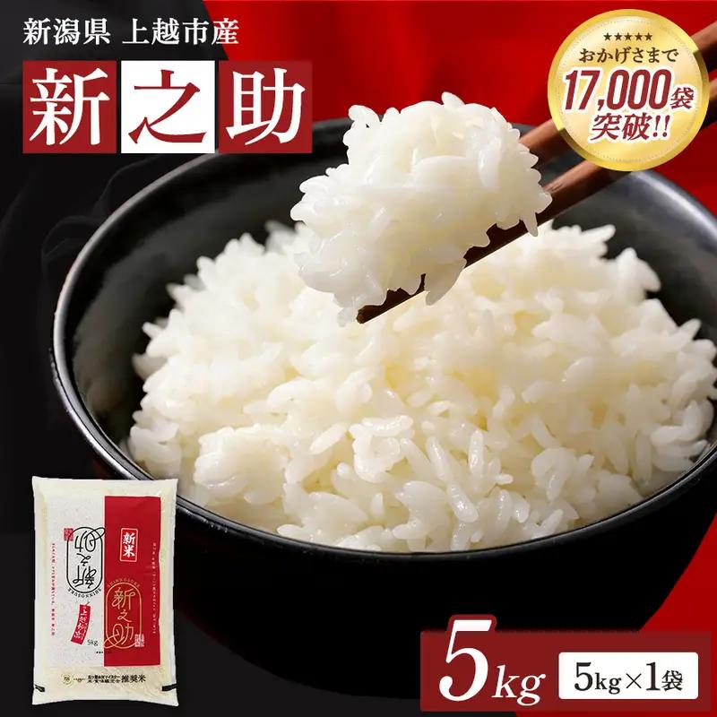 【先行予約】新之助 無洗米 上越産 5kg 精米 新之助