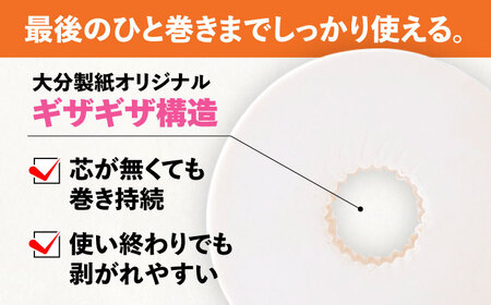 【全12回定期便】トイレットペーパー ダブル 24ロール 長巻き 65m (6ロール×4パック) 宅配 エコワンタッチ コアレス[VAA057]