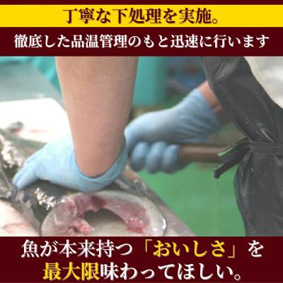 ふるさと納税 延岡市 延岡産活〆真鯛のお刺身400g〜500g |  | 03