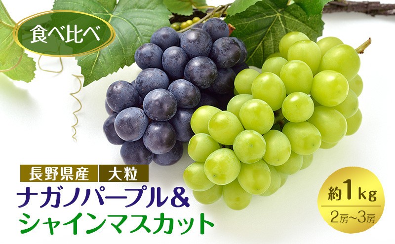 
                  食べ比べ「ナガノパープル&シャインマスカット」約1kg （2～３房）入【2026年9月以降発送予定】(さらしな青果) |  ぶどう 食べ比べ ナガノパープル シャインマスカット 人気 おすすめ 葡萄 ブドウ フルーツ 果物 セット 詰合せ 旬 産地直送 ギフト プレゼント 長野県 長野市 信州 信濃 ふるさと納税
                
