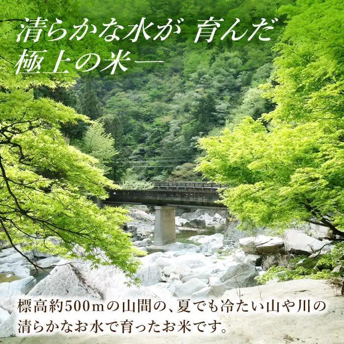予約受付【R8年産】新米 コシヒカリ 10kg 白川町 / S.K.C[AWAX002] 米