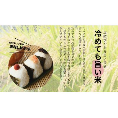 ふるさと納税 豊田市 真空パック　山間地限定!希少米峰旭2kg×3袋 |  | 02