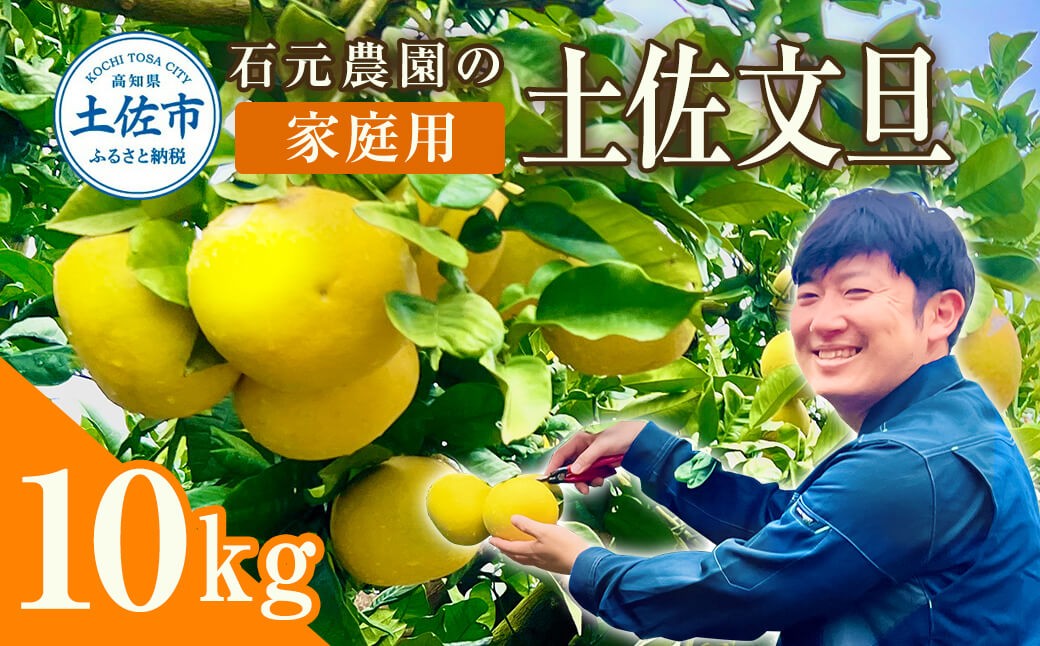 
            石元農園の土佐文旦　家庭用　約１０キロ（１４～２２玉） 期間限定 土佐文旦 文旦 10kg ブンタン ぶんたん 果物 柑橘 フルーツ 高知県産 家庭用 傷 汚れ 美味しい おいしい
          