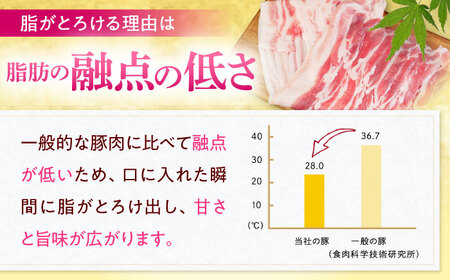 沖縄県産豚肉　豚バラブロック　約1.8kg（900g×2P）