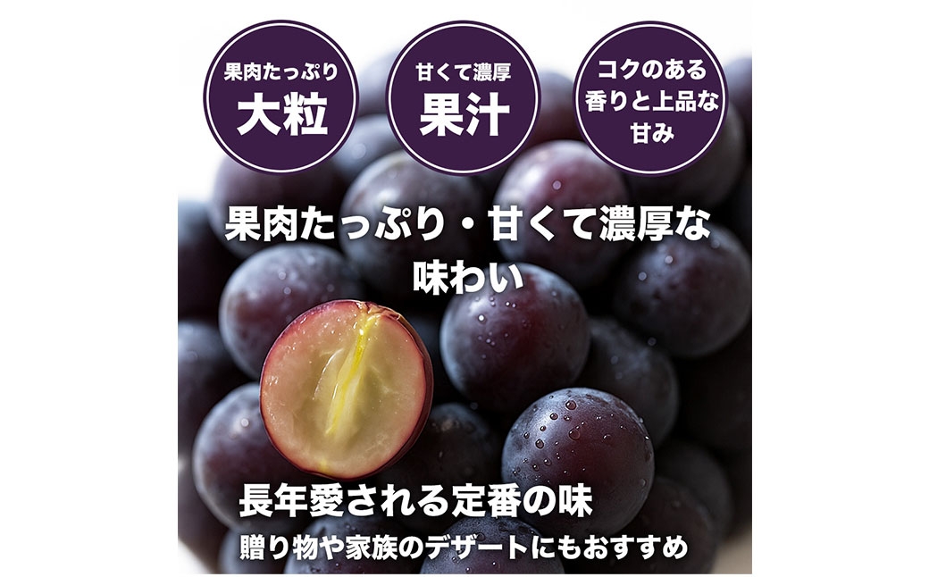 巨峰ぶどう8パック約2.4kg