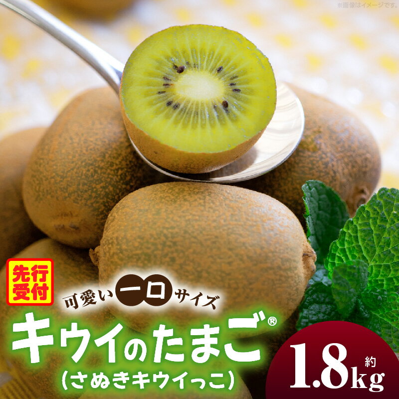 【ふるさと納税】キウイフルーツ(キウイのたまご®)(キウイっこ) 1.8kg キウイ フルーツ 果物 旬 旬の果物 キウイフルーツ デザート 生鮮食品 贈り物 贈答 お裾分け おすすめ 人気 ギフト グルメ 特産品 果肉 季節 季節の果物 香川県 三木町 送料無料