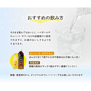D4-2258／【3回定期】 財寶温泉強炭酸水 500ml×24本×2箱 合計48本