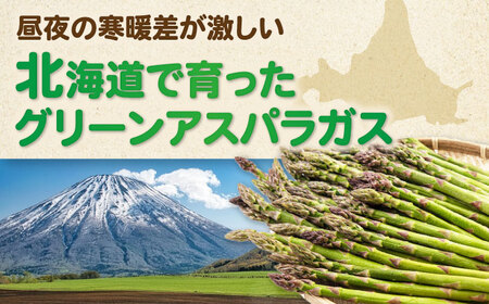 【2024年6月発送！ようてい春の味覚】グリーンアスパラ　1.5kgセット（Ｌサイズ500ｇ×2袋・Ｍサイズ500ｇ×1袋）