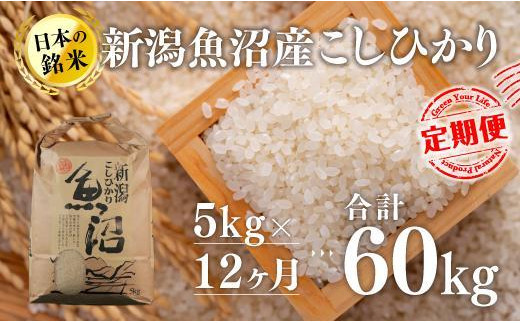 
【12カ月定期便】新潟魚沼産こしひかり（精米）5kg
