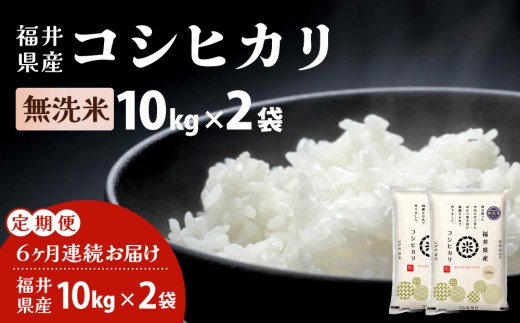 【定期便6回】福井県産 コシヒカリ 無洗米 20kg（10kg×2）＜令和7年産＞【米 コメ お米 精米 白米 無洗米 玄米 ご飯 飯 こしひかり ブランド米 国産】[095-t06-a215]
