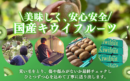 キウイフルーツ（27～33個）| キウイ フルーツ キウイフルーツ フルーツ くだもの 果物 奈良県 五條市