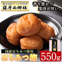 【ふるさと納税】薩摩西郷梅はちみつ梅(550g) 箱入り はちみつ まろやか 南高梅 梅干し うめぼし 粒 大きい 贈答 ギフト 常温【薩摩西郷梅生産組合】