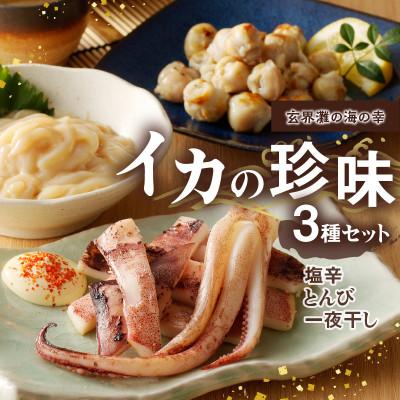 ふるさと納税 玄海町 イカの珍味 3種セット【A153】