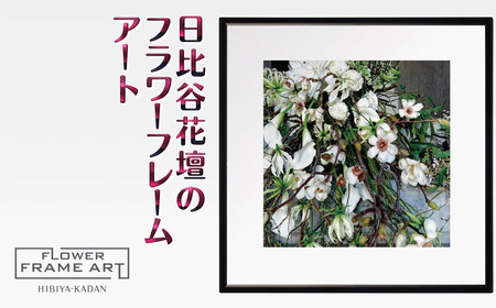 日比谷花壇のフラワーフレームアート Nature's Drapery（自然のカーテン） ソフケン アルミフレーム 25x25cm アートポスター ポスターフレーム 花ポスター インテリア おしゃれ 花 植物 贈り物 プレゼント ギフト 軽量フレーム ボタニカルアート フラワーアート 癒しの空間