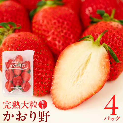 【 2026年1月上旬発送開始 】 完熟 かおり野 260g×4P 国産 いちご イチゴ 苺 果物 フルーツ 茨城県産 KEK [BC032sa]