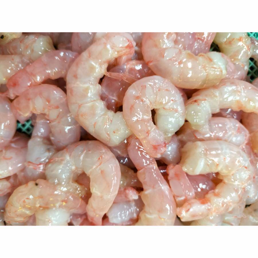 ＜星野水産＞国産天然・無添加「むき海老」（ひげ長海老）200g×5（計1kg）・H088