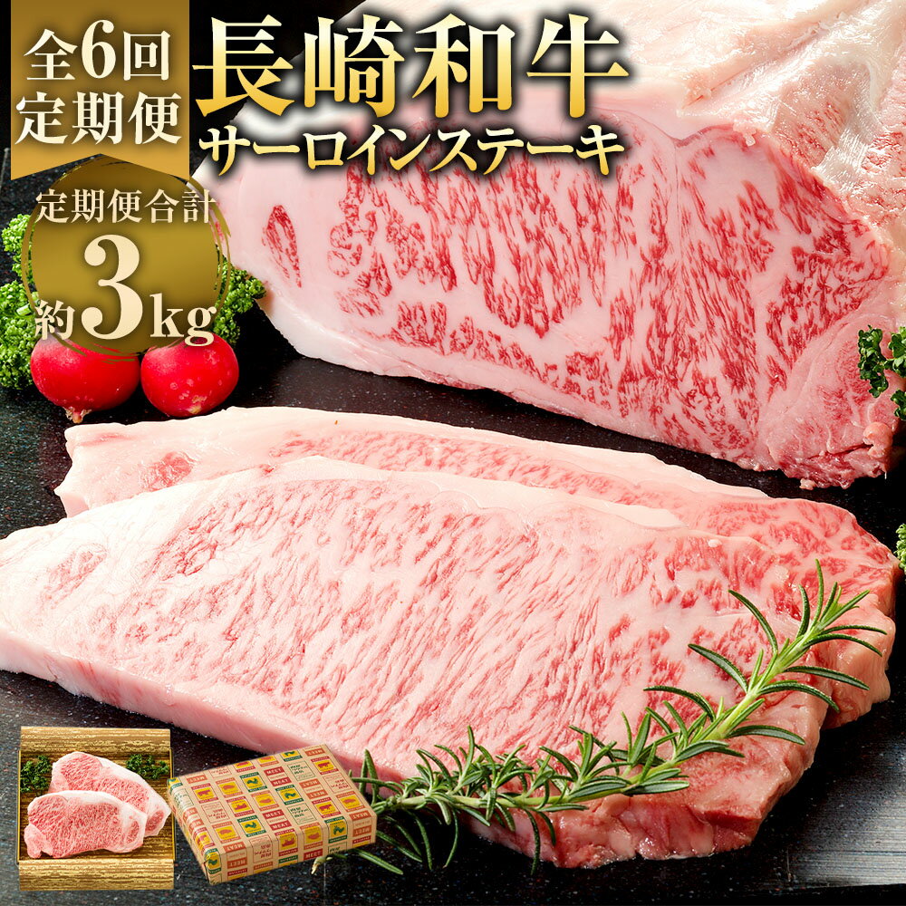 【ふるさと納税】【全6回定期便】長崎和牛サーロインステーキ 計500g（250g×2枚） ステーキソース×2個 和牛 牛肉 お肉 ギフト 贈答 冷凍 長崎県産 国産 九州 長崎県 長崎市 送料無料