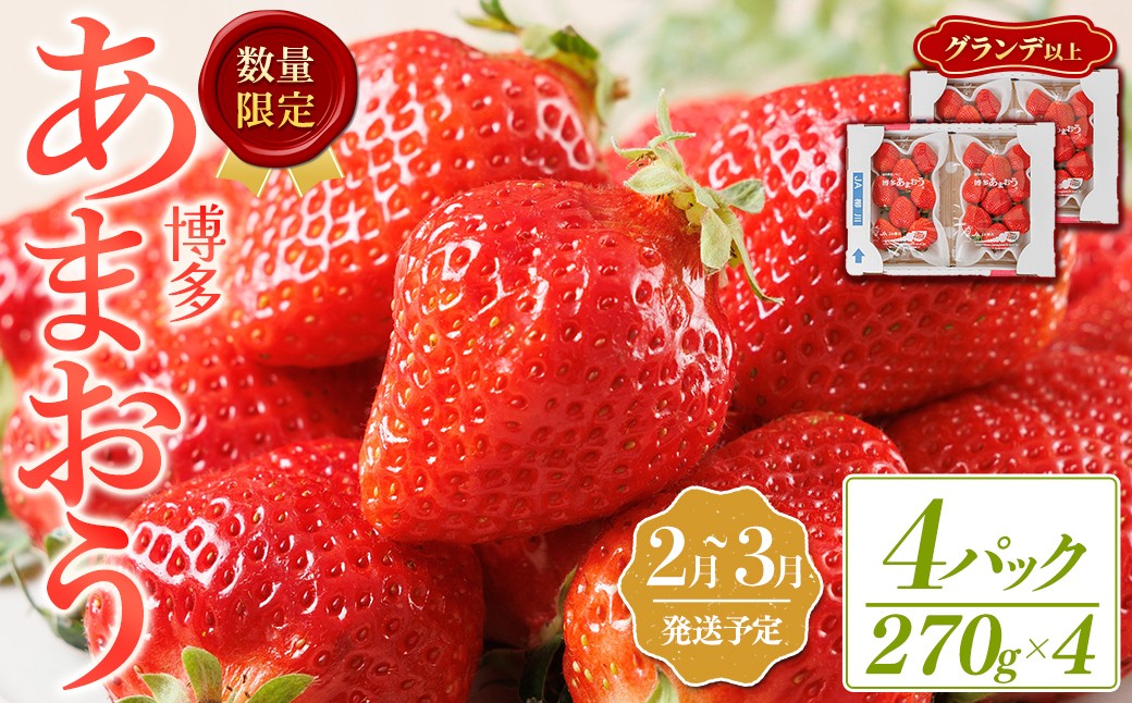 
                  ＜数量限定・先行予約受付中！2027年2月下旬～3月末に順次発送＞福岡県産苺「あまおう」グランデ以上(計約1080g)いちご 苺 フルーツ 果物 くだもの 福岡限定 家庭用 冷蔵 ＜離島配送不可＞【ksg1896】【hurrah.】
                