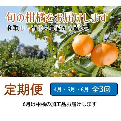 ふるさと納税 広川町 【発送月固定定期便】厳選 柑橘定期便M(4〜6月)全3回 |  | 01