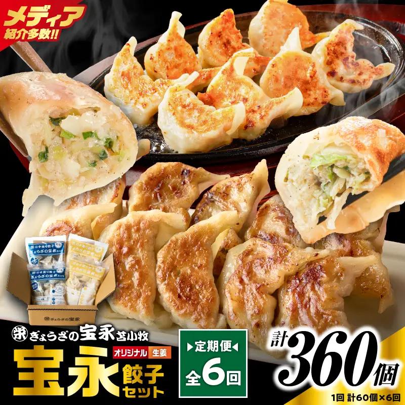 【定期便・全6回 毎月】手包み餃子 ぎょうざの宝永 生姜餃子60個セット（宝永餃子15個入×2袋・生姜餃子15個入×2袋） T004-T05-02-04 定期便 定期 惣菜 総菜 餃子