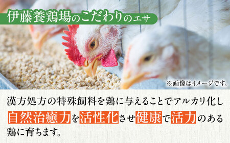 【3回定期便】きみ恋し 160個（155個+割れ保証5個）×3ヶ月 総計480個 広川町/伊藤養鶏場[AFAJ016]