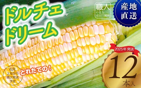 2025年6月上旬発送【朝採り】とうもろこし　ドルチェドリーム　12本入り 杉山農園[5839-2181]