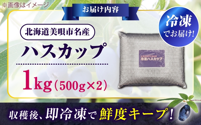ハスカップ 果実 果物 フルーツ ジャム 冷凍 特産 特産品 農家直送 北海道