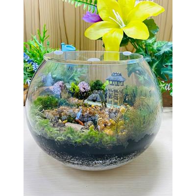 ふるさと納税 播磨町 【苔テラリウム・丸形ガラス・小】ちいさな苔屋さん