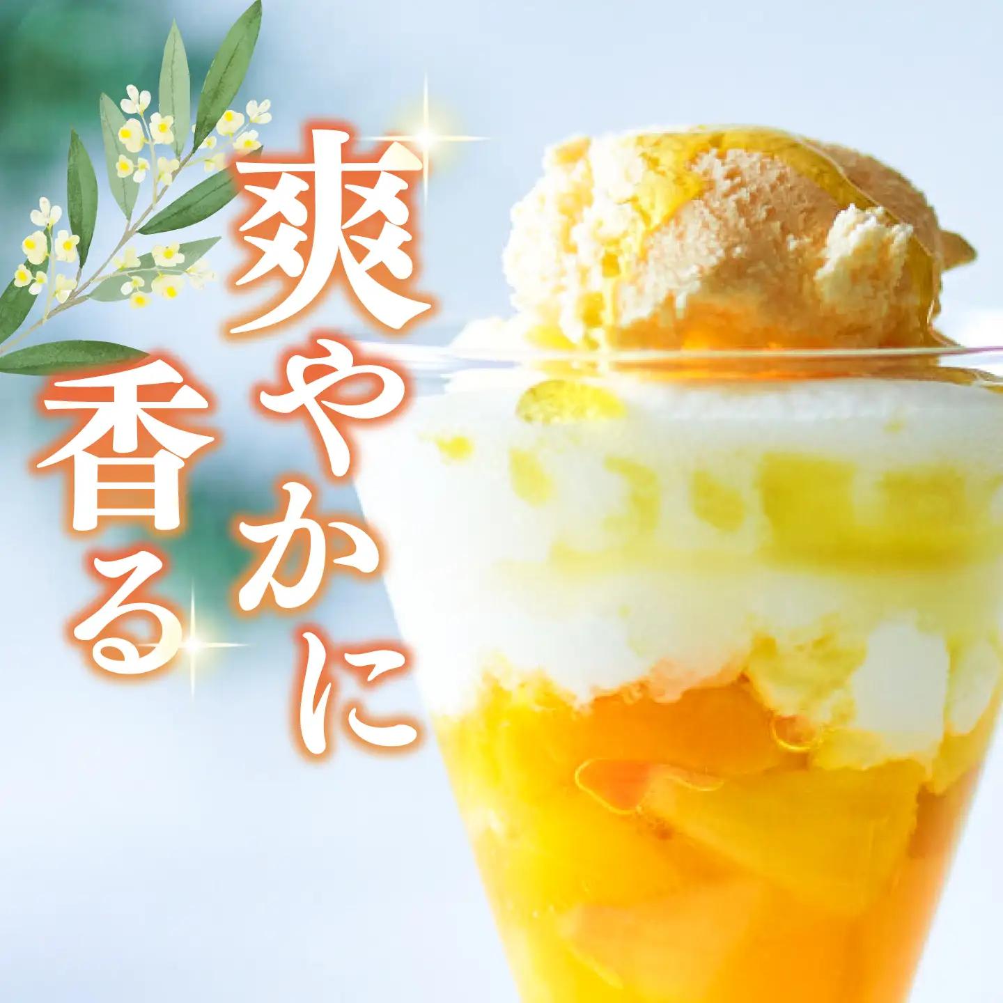 オリーブオイル ハッサクオイル 100ml×3本 オリーブオイル [XAJ066]
