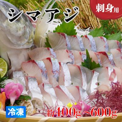 ふるさと納税 海陽町 《約400〜600g》シマアジ(柵) 刺身用　小分けタイプ　冷凍でお届けします!