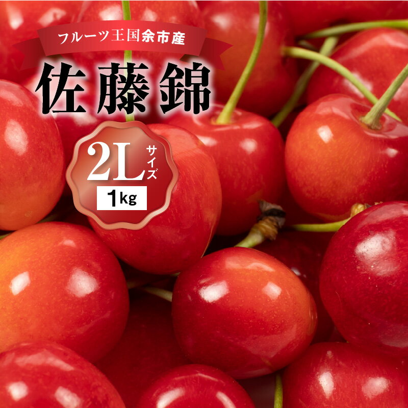 【ふるさと納税】 2025年発送 【 先行予約 】 令和7年産 佐藤錦 【 2Lサイズ 】 500g×2 【 ニトリ観光果樹園 】 さくらんぼの王様 余市 北海道 フルーツ王国 さくらんぼ サクランボ 桜桃 佐藤錦 余市産さくらんぼ 人気さくらんぼ ニトリ 北海道 余市町 お取り寄せ 送料無料